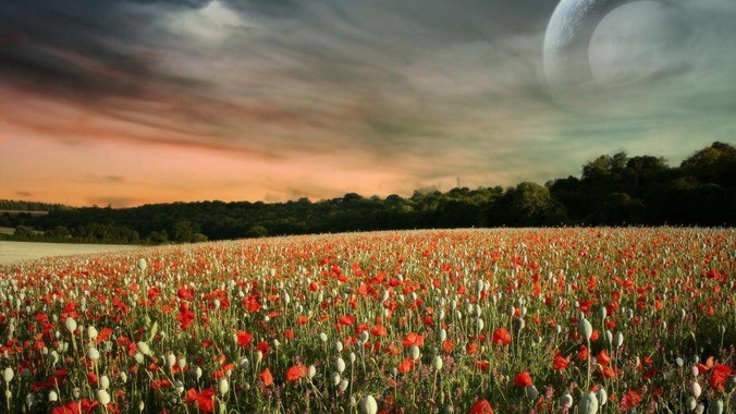 初三画成这样算是有天赋吗？【正经求助】?